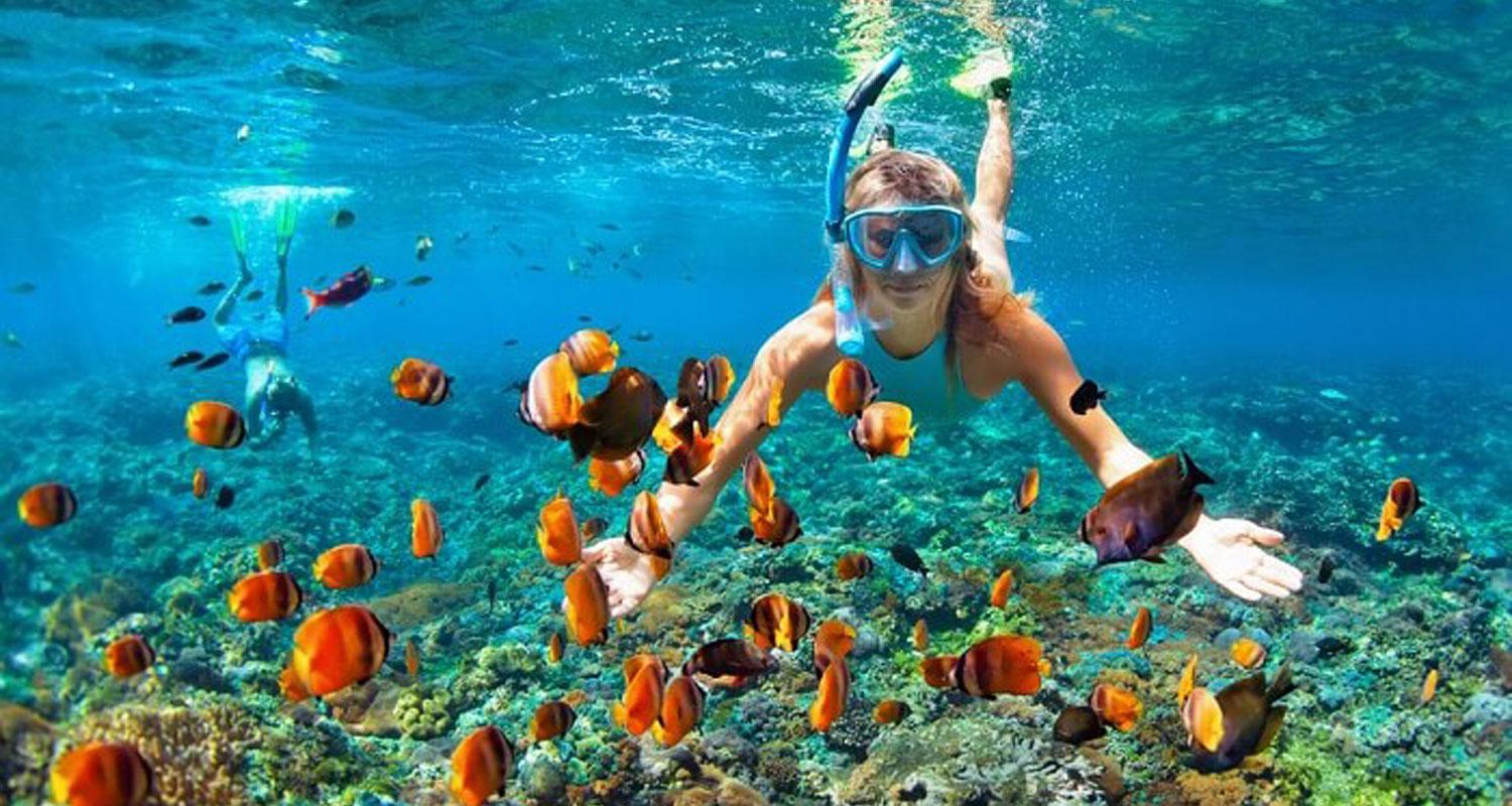Snorkeling and Scuba Diving
